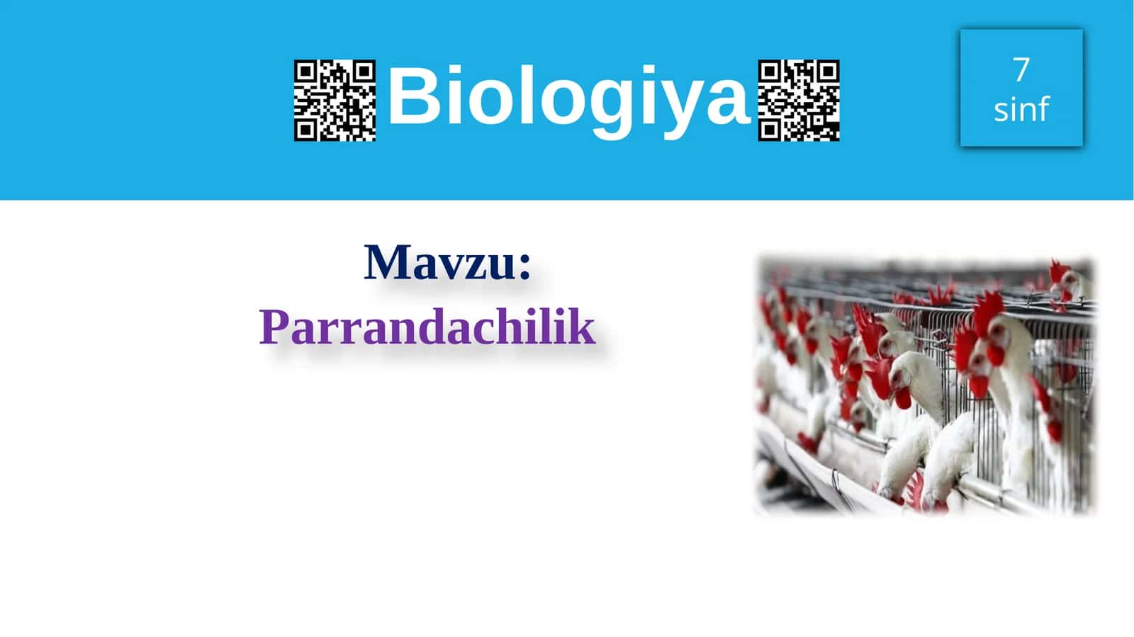 Parrandachilik