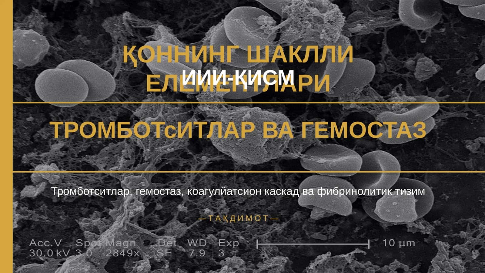 ТРОМБОТсИТЛАР ВА ГЕМОСТАЗ