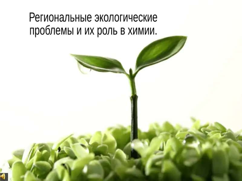 Региональные экологические проблемы и их роль в химии