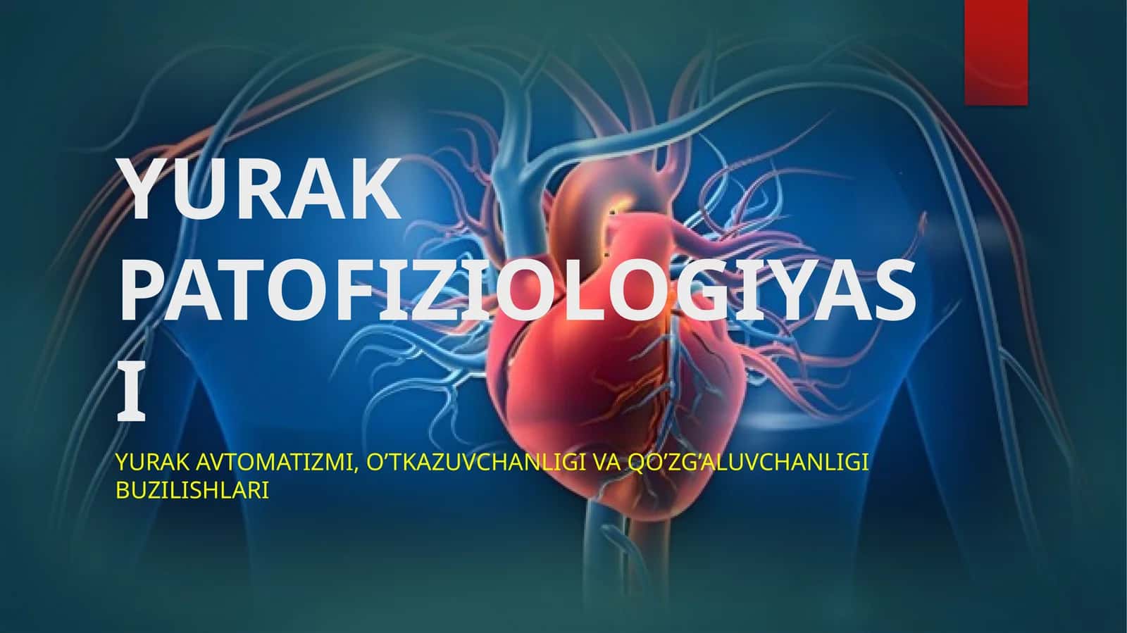 Yurak patofiziologiyasi slayd