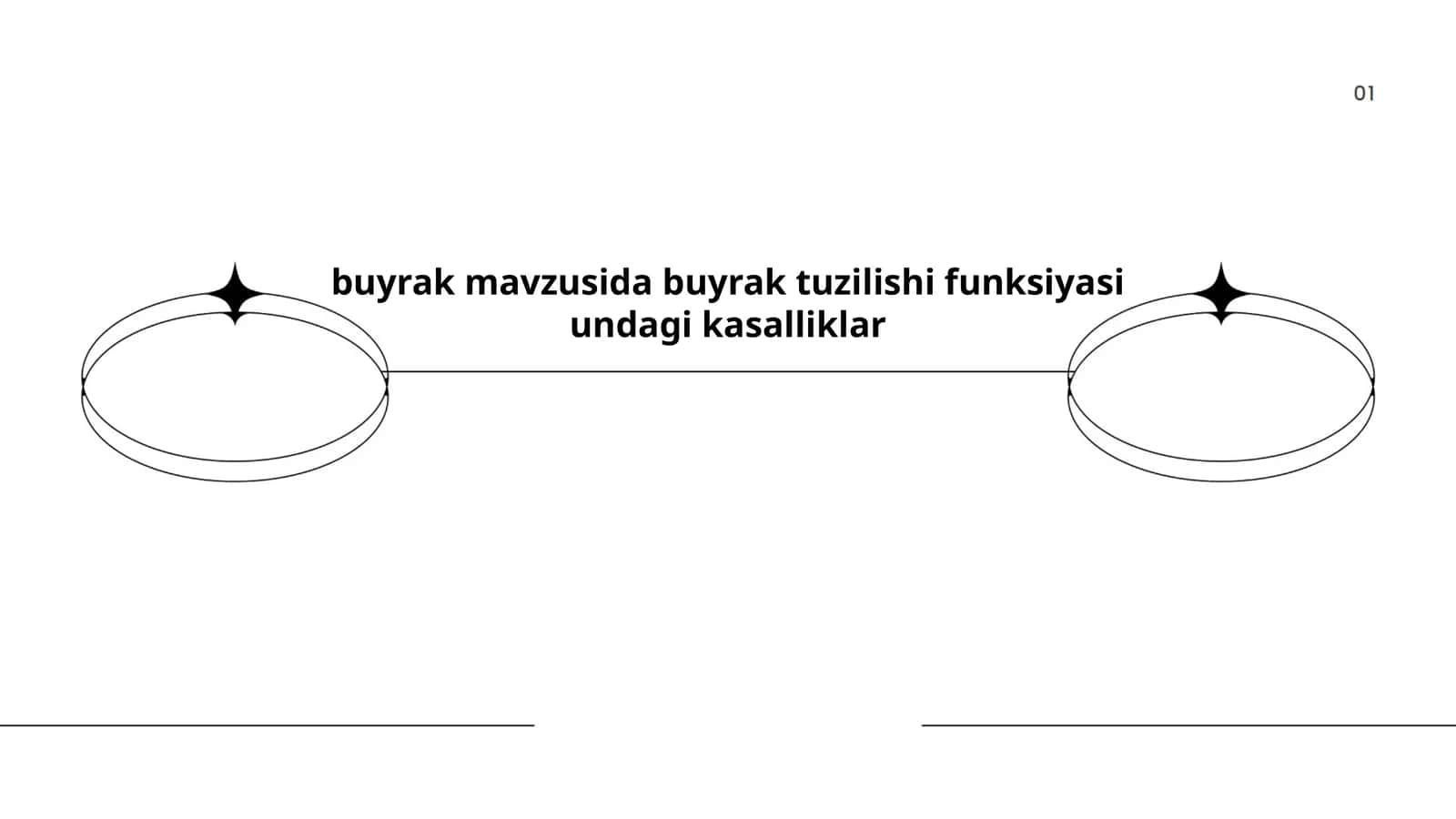 Buyrak anatomiyasi