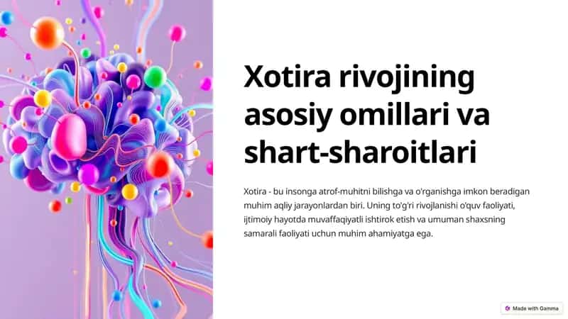 Xotira rivojining asosiy omillari va shart-sharoitlari