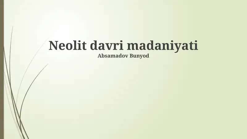 Neolit davri madaniyati