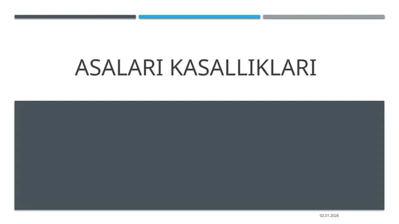Asalarikasalliklari