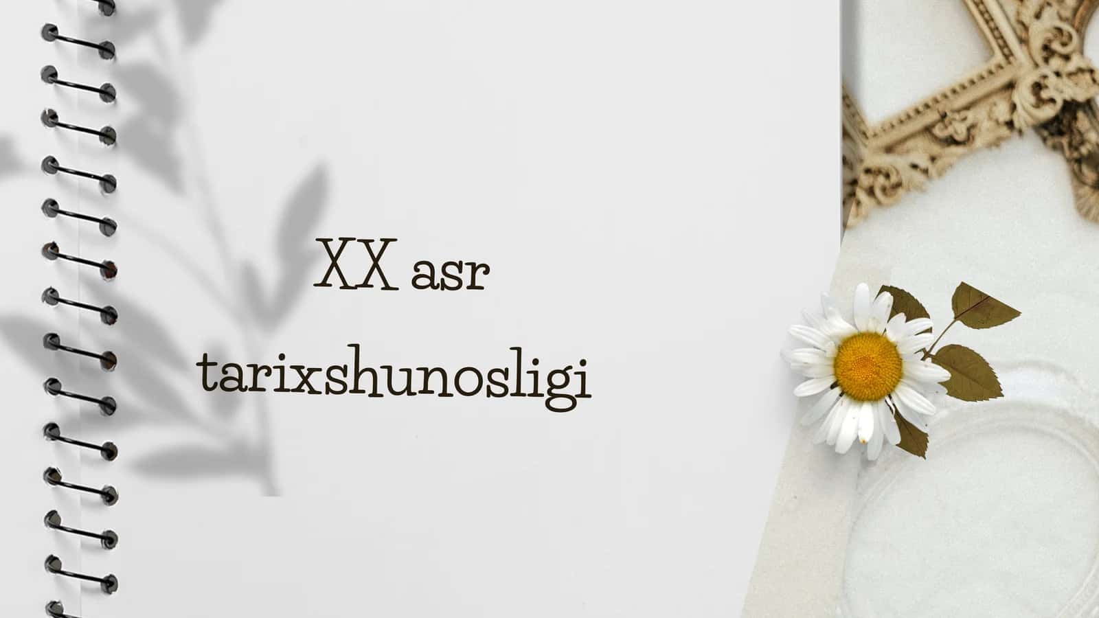 XX asr tarixshunosligi
