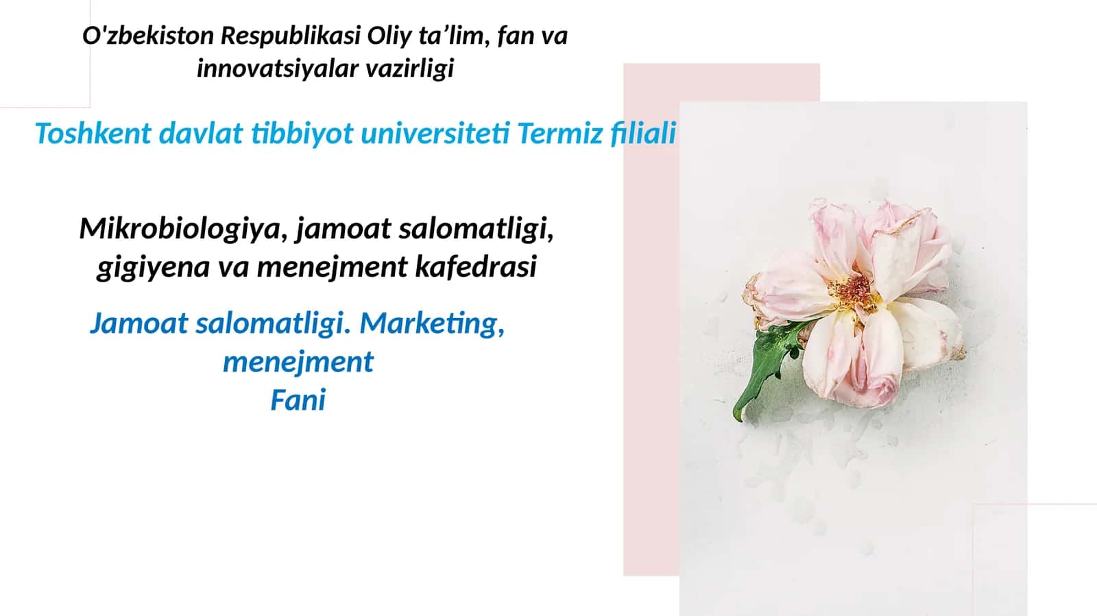 Aholi orasida turmush tarzini targʻib etish