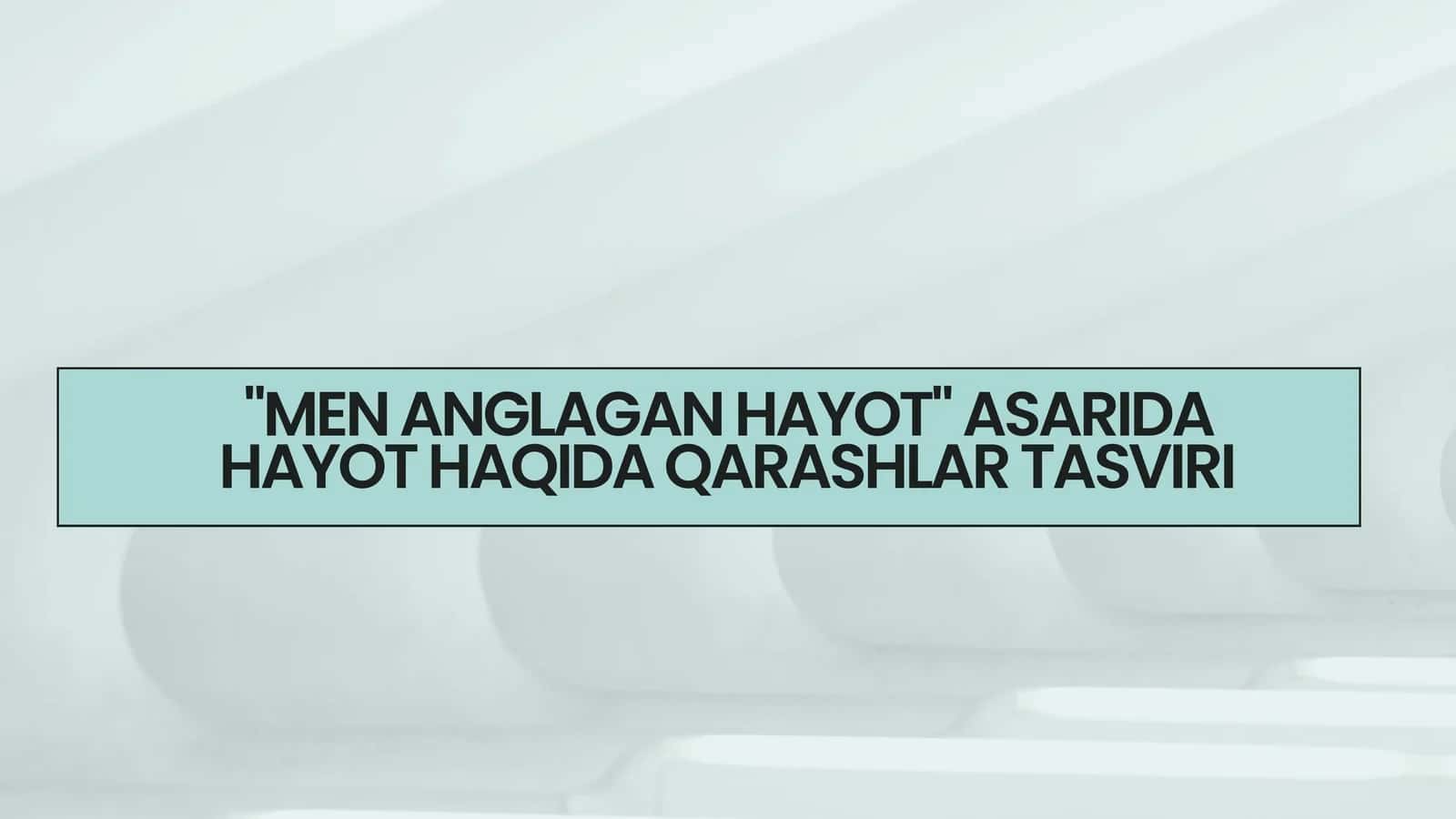 "MEN ANGLAGAN HAYOT" ASARIDA HAYOT HAQIDA QARASHLAR TASVIRI