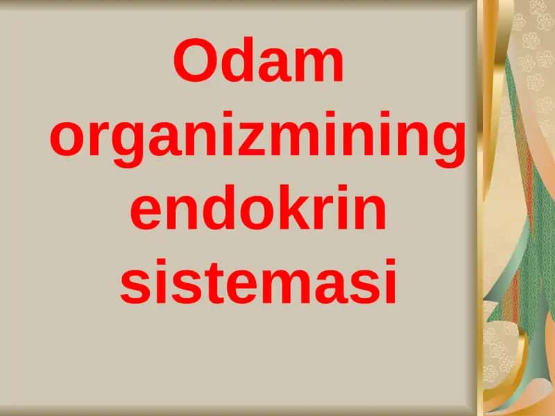 Odam organizmining endokrin sistemasi