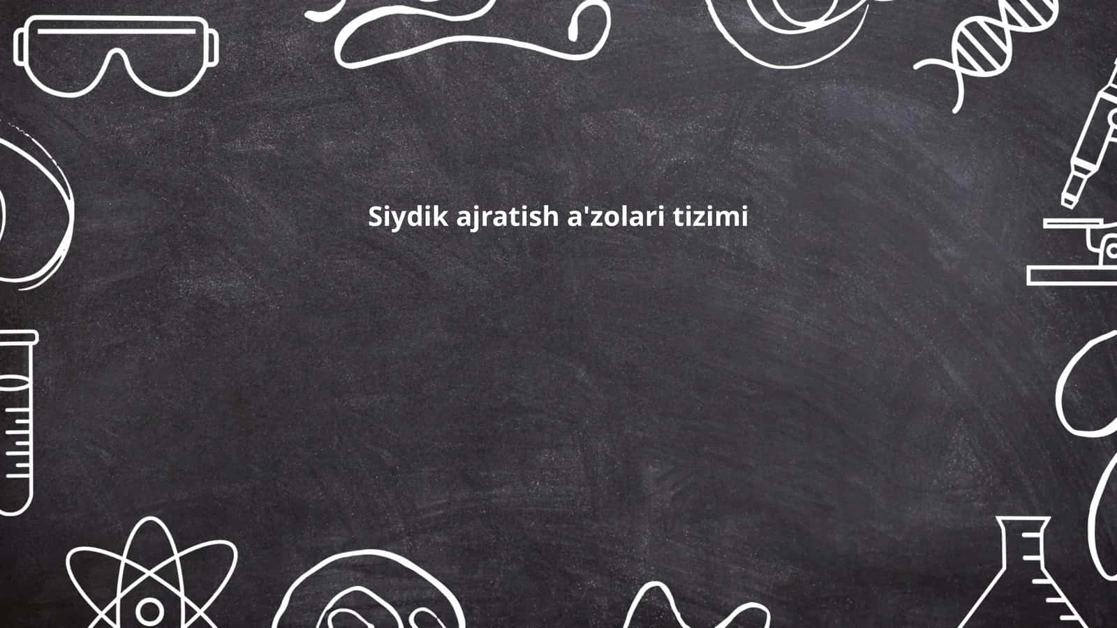 Siydik ajratish a'zolari tizimi
