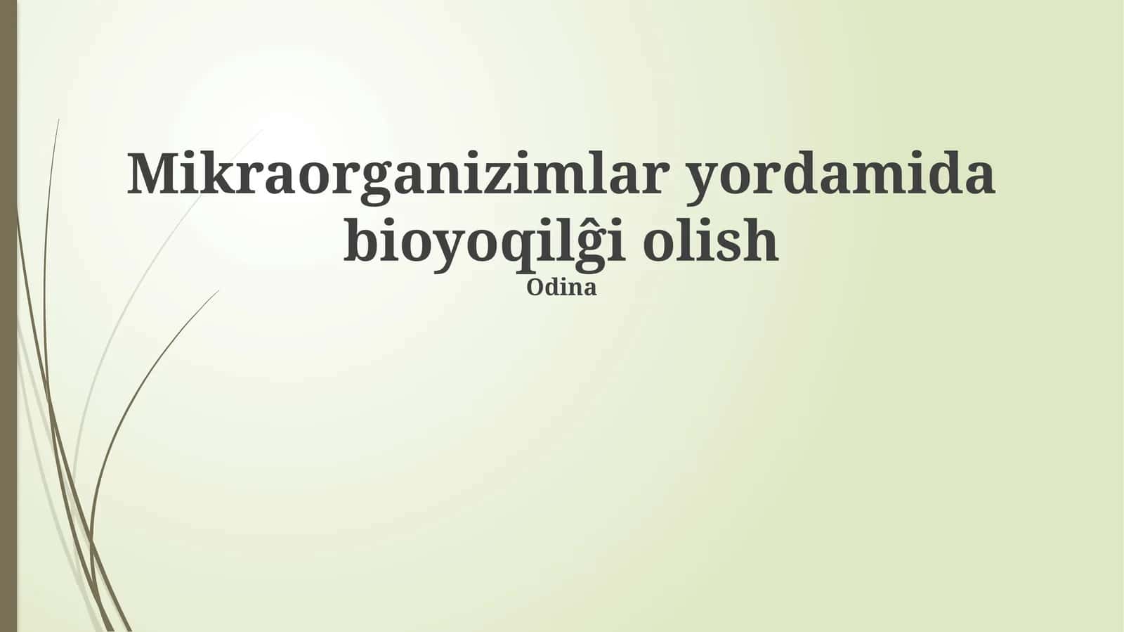Mikroorganizm yordamida bioyoqilĝi olish