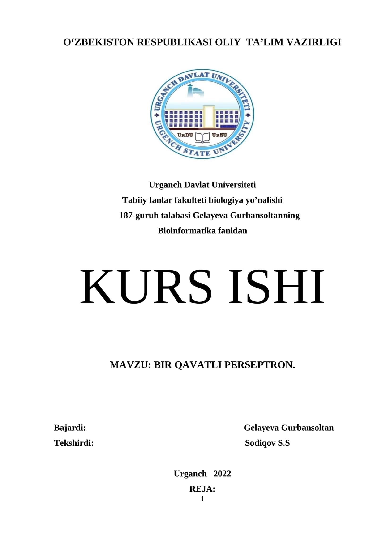BIR QAVATLI PERSEPTRON