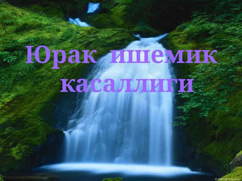 Юрак ишемик касаллиги (Ю.И.К)