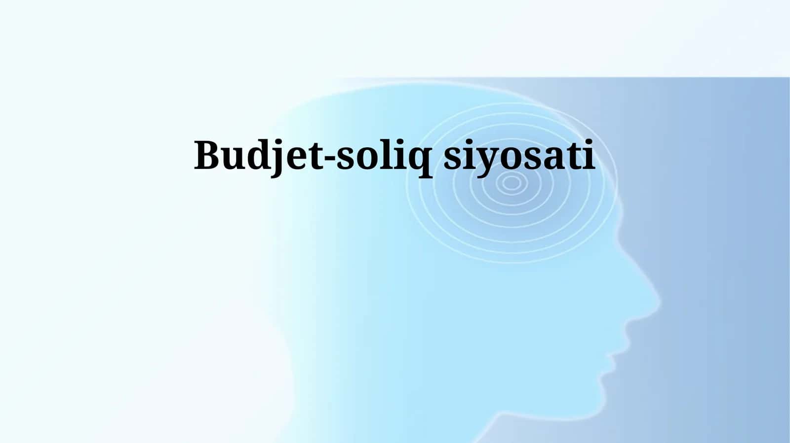 Budjet-soliq siyosati