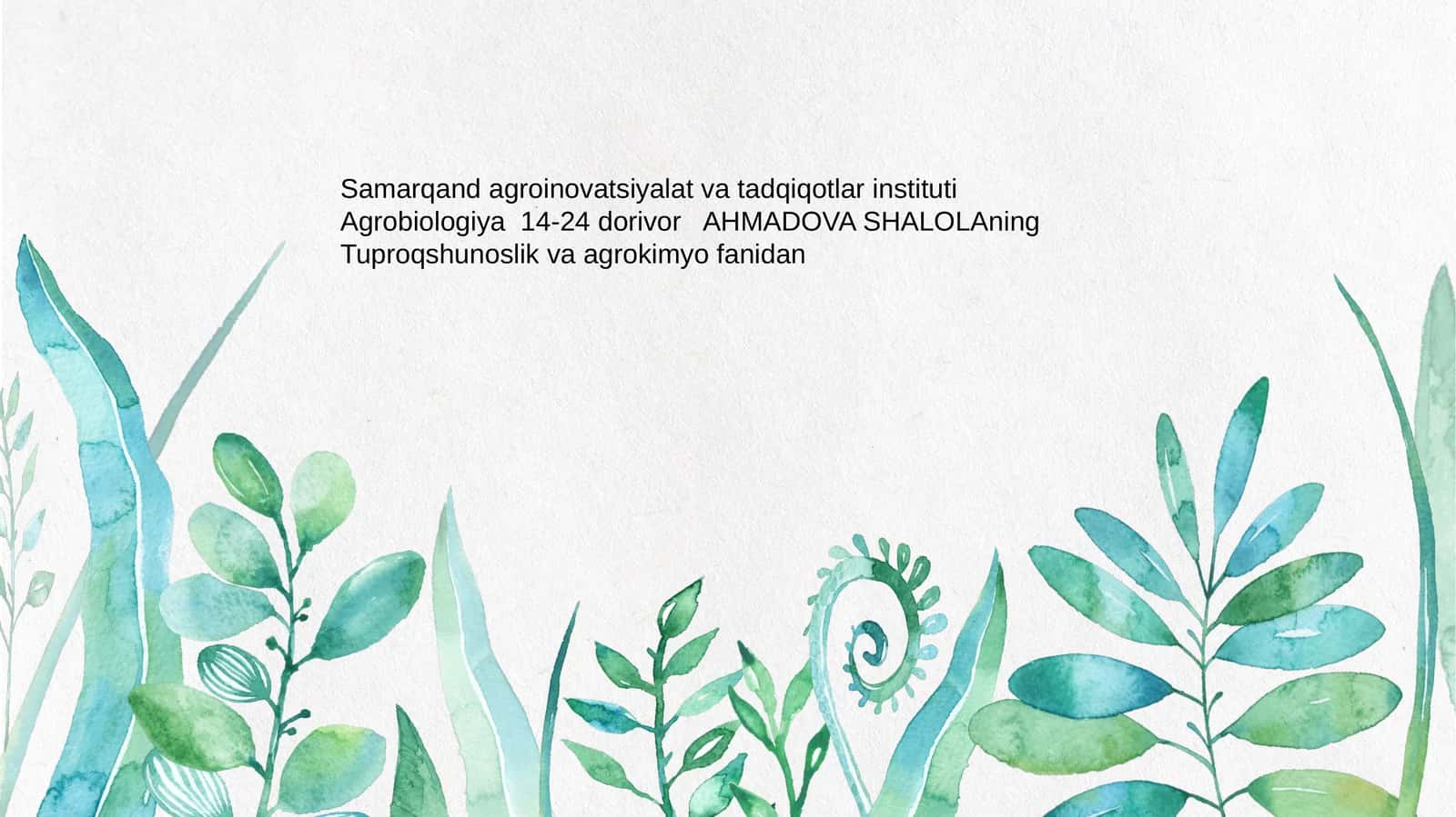 Amerika Tuproqlari