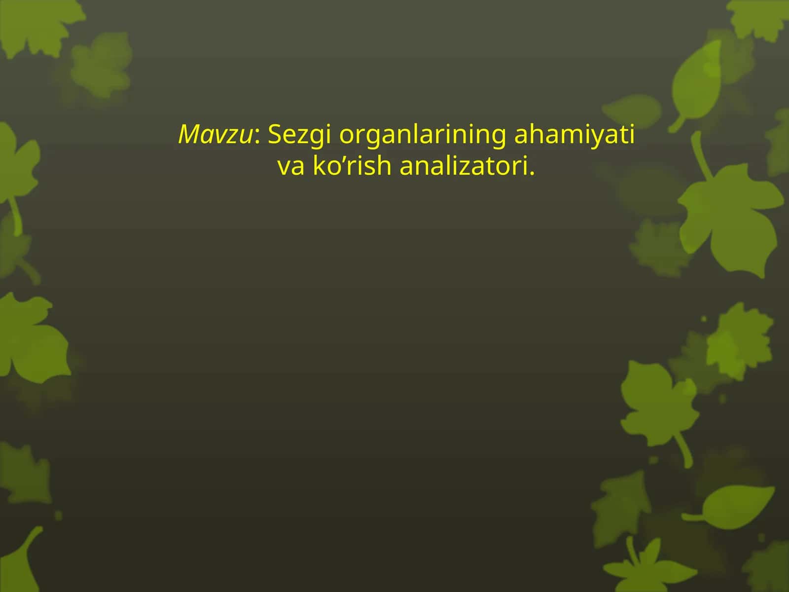 Sezgi organlarining ahamiyati va ko’rish analizatori