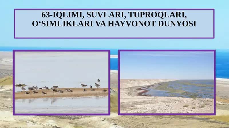 63-IQLIMI, SUVLARI, TUPROQLARI,O‘SIMLIKLARI VA HAYVONOT DUNYOSI
