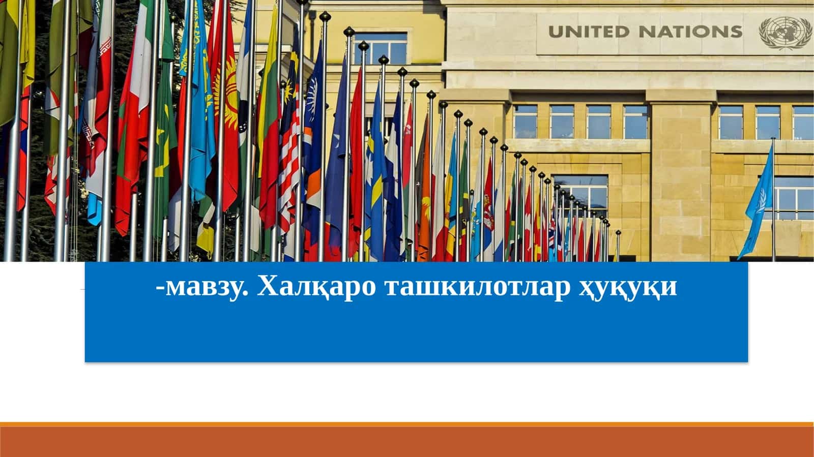 Халқаро ташкилотлар ҳуқуқи