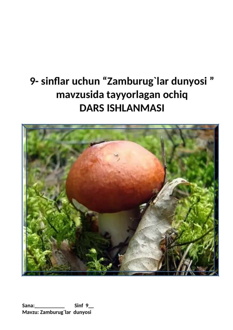 Zamburug`lar dunyosi