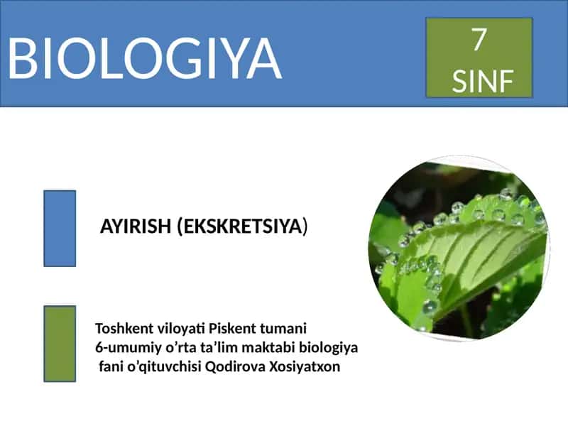 Ayirishning Organizmlar Hayotidagi Ahamiyati