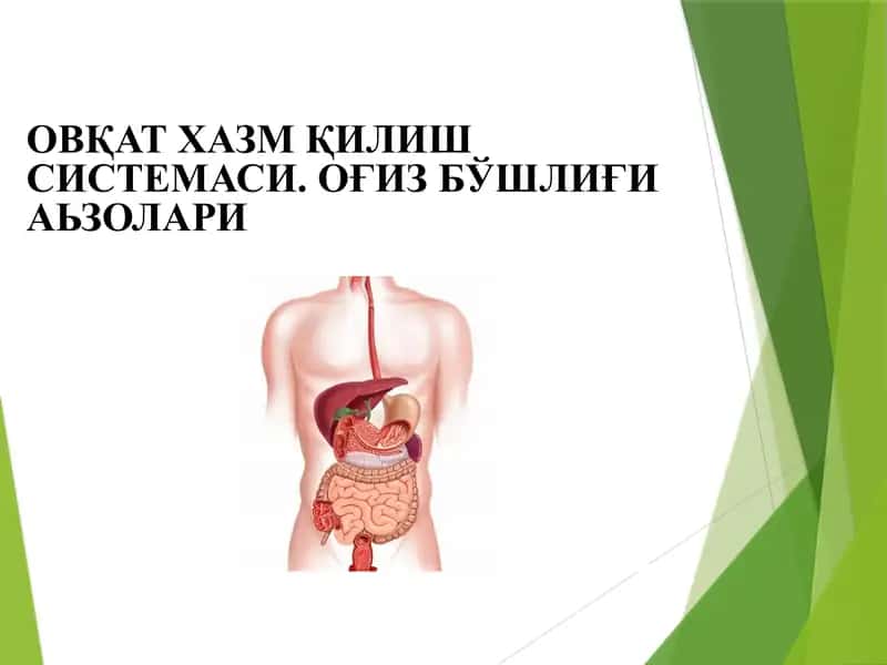 Ovqat hazm qilish sistemasi Og'iz bo'shlig'i a'zolari ОВҚАТ ХАЗМ ҚИЛИШ СИСТЕМАСИ. ОҒИЗ БЎШЛИҒИ	АЬЗОЛАРИ