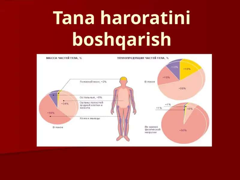 Tanaharoratiniboshqarish