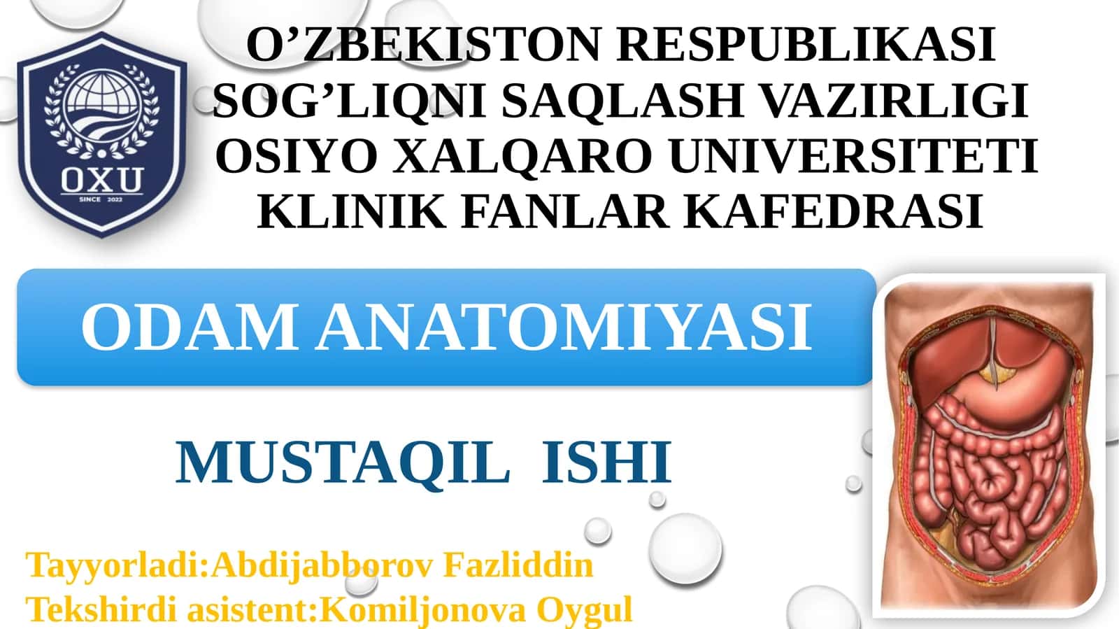 Hazma’zolarining rentgen anatomiyasi va rivojlanish nuqsonlari