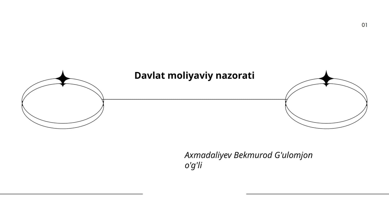 Davlat moliyaviy nazorati