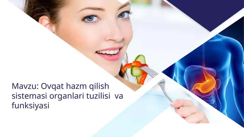 Ovqat hazm qilish sistemasi organlari tuzilishi va funksiyasi