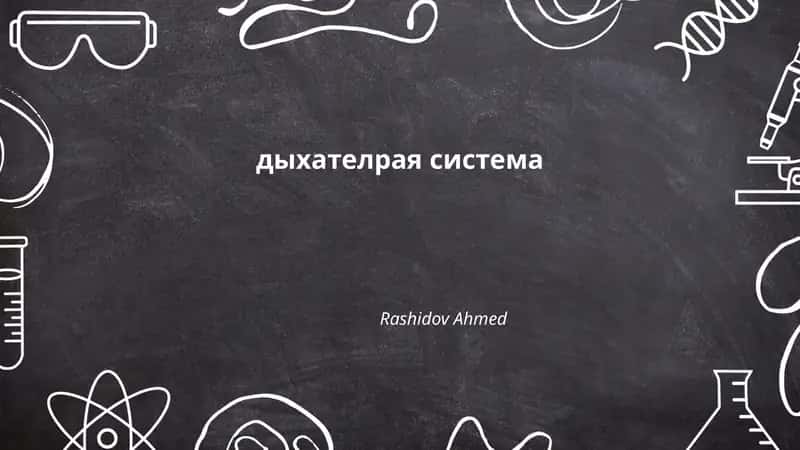дыхателрая система
