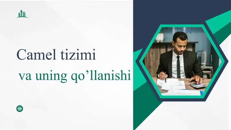Camel tizimi va uning qo’llanilishi