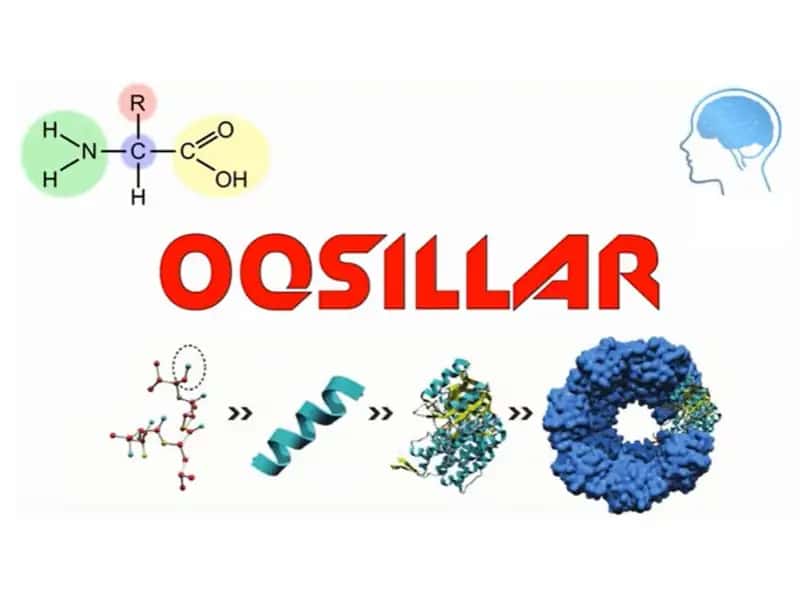 OQSILAR