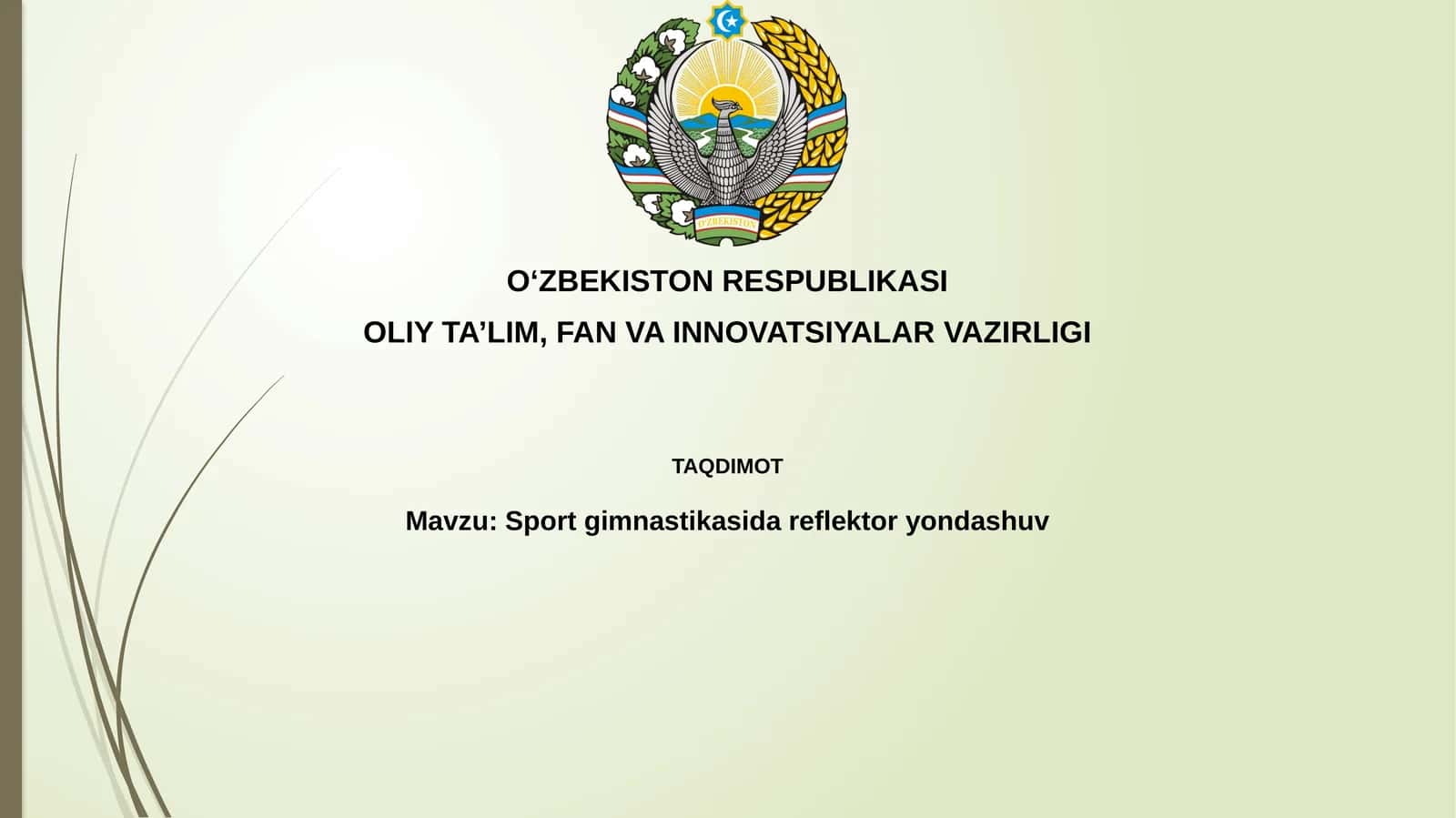 Sportgimnastikasidareflektoryondashuv