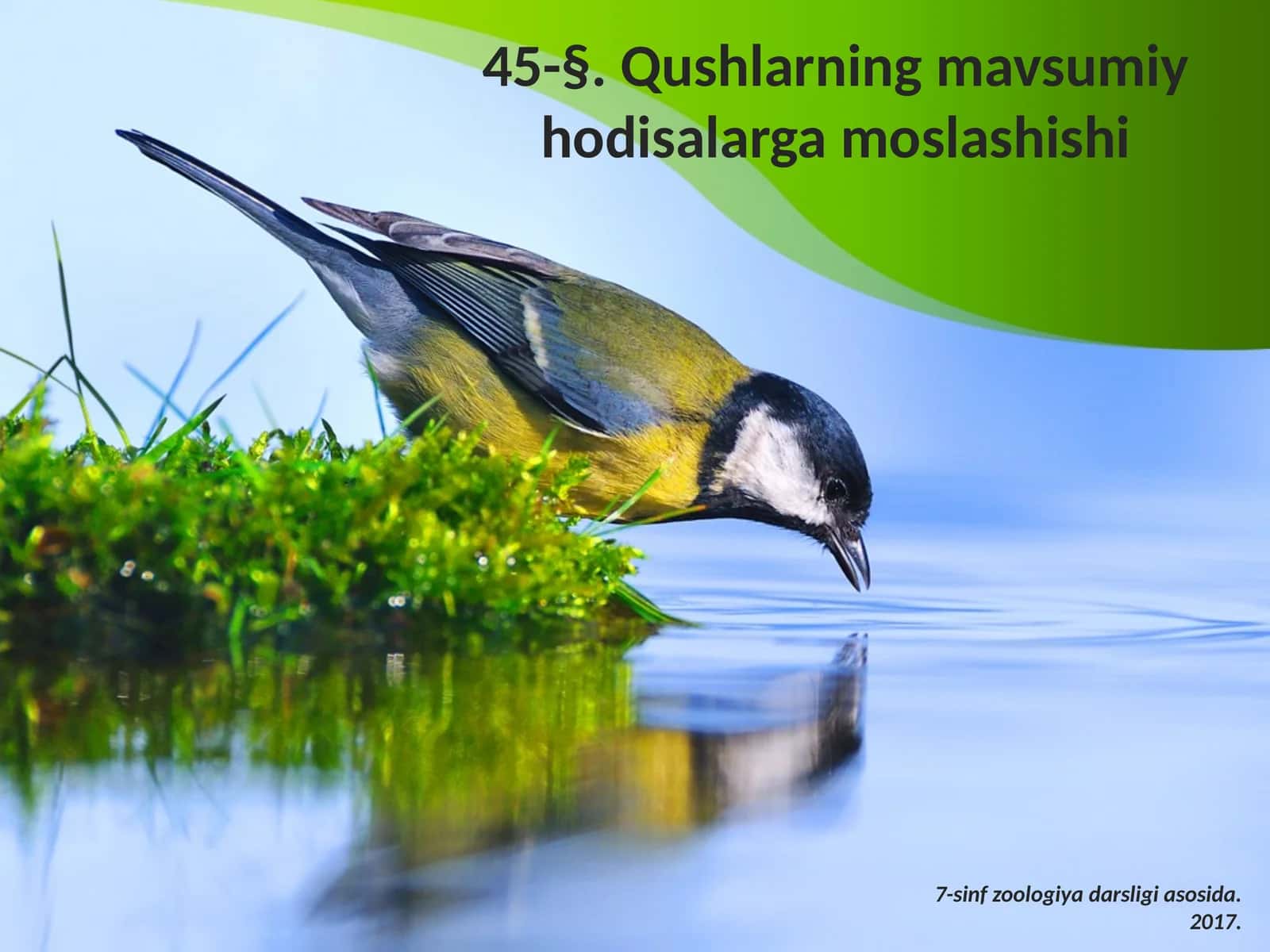 7-sinf Zoologiya 'Qushlarning mavsumiy hodisalarga moslashishi' ko'rgazma