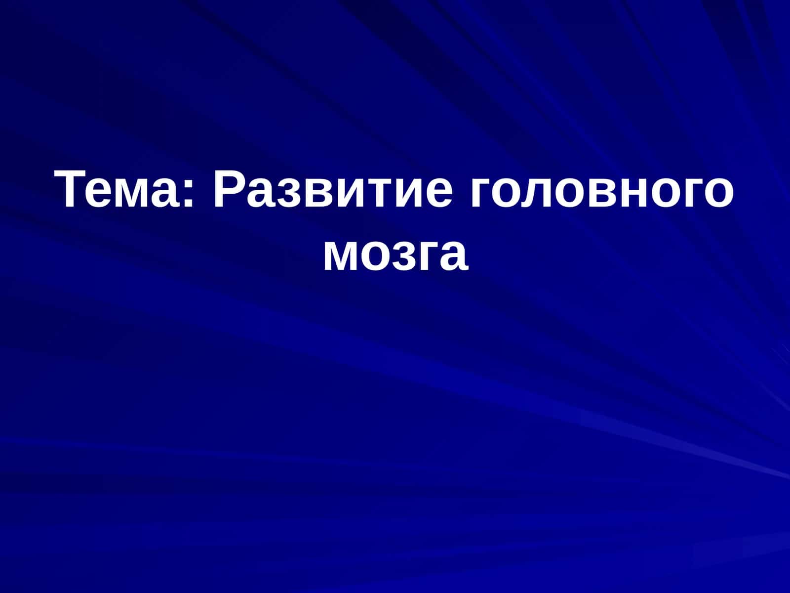 Развитие головного мозга
