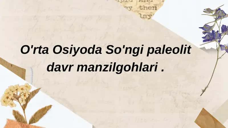 So'nggi paleolit davri