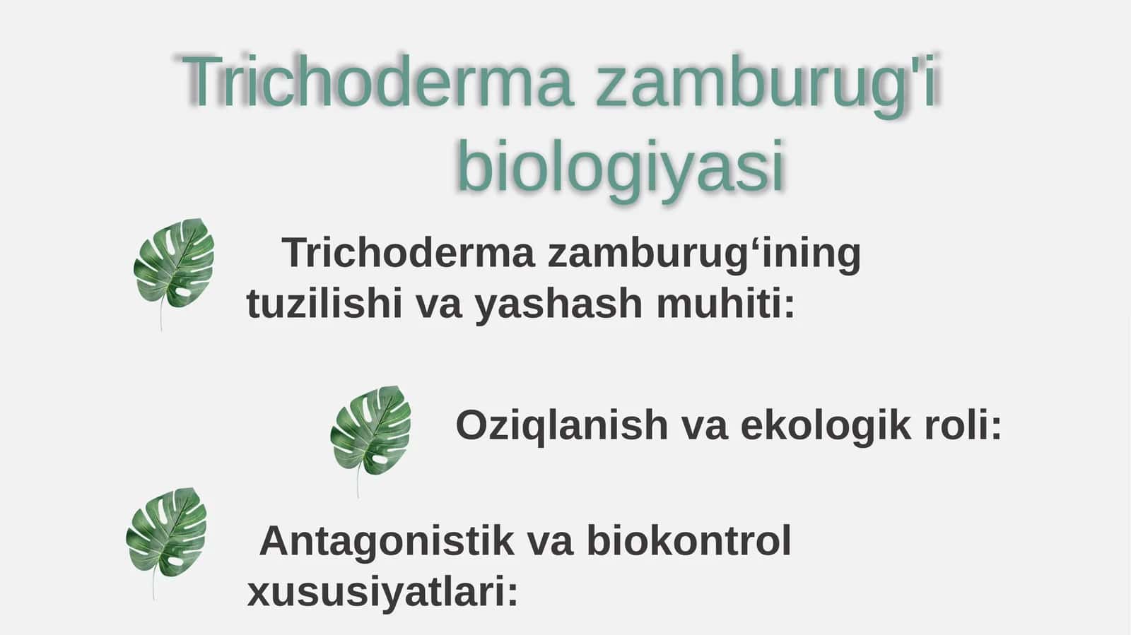 Trichoderma zamburug'i biologiyasi
