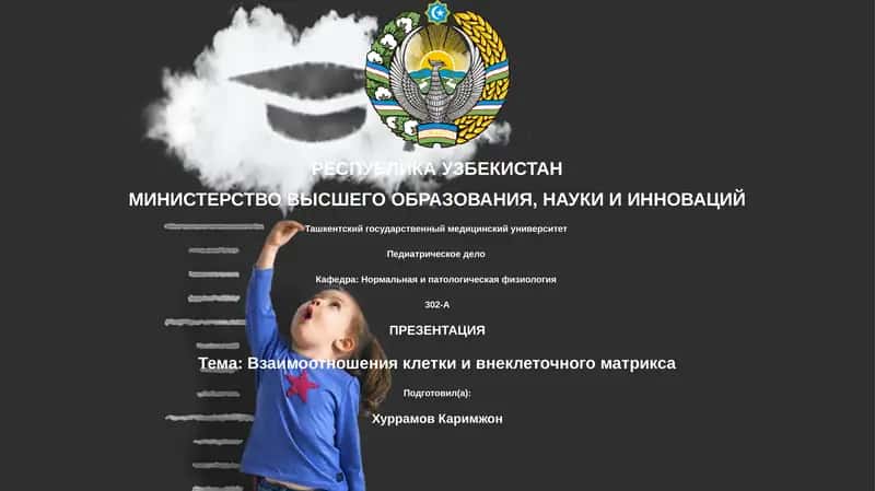 Презентация