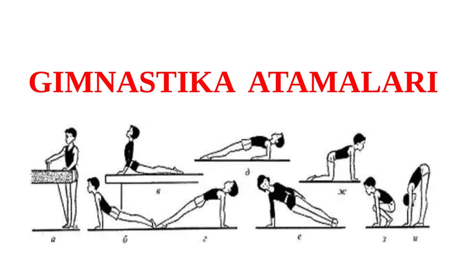 GIMNASTIKA ATAMALARI