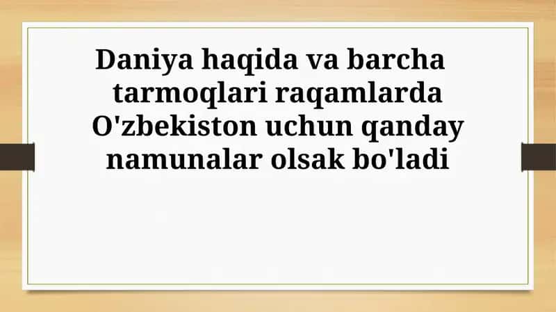 Daniya tajribasi: O'zbekiston uchun raqamli saboqlar