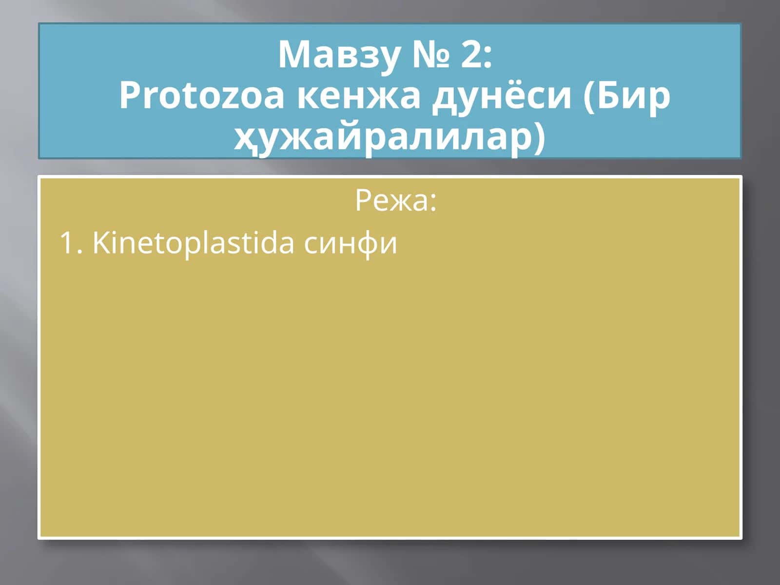 Protozoa кенжа дунёси
