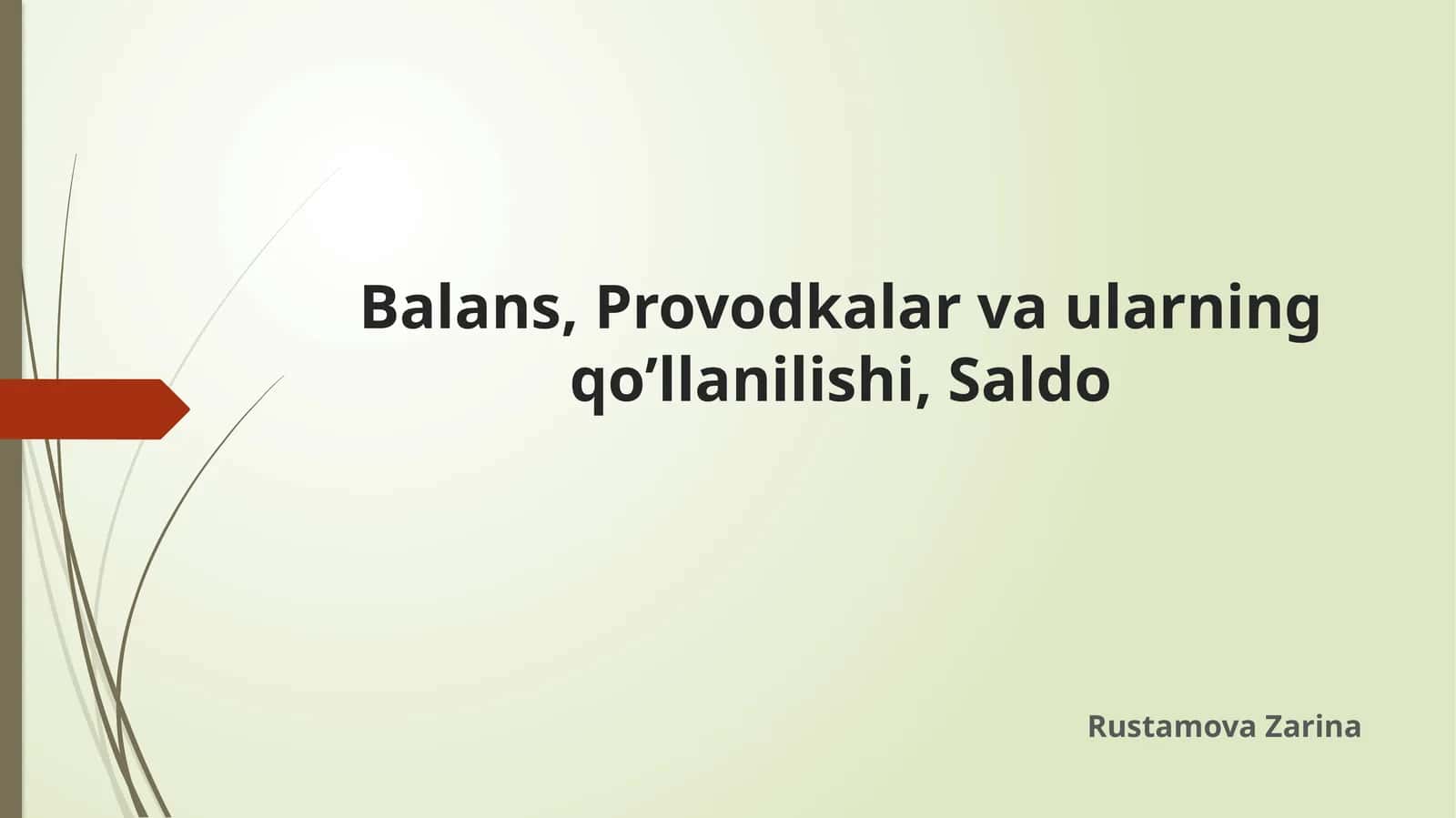 Balans, Provodkalar va ularning qo’llanilishi, Saldo