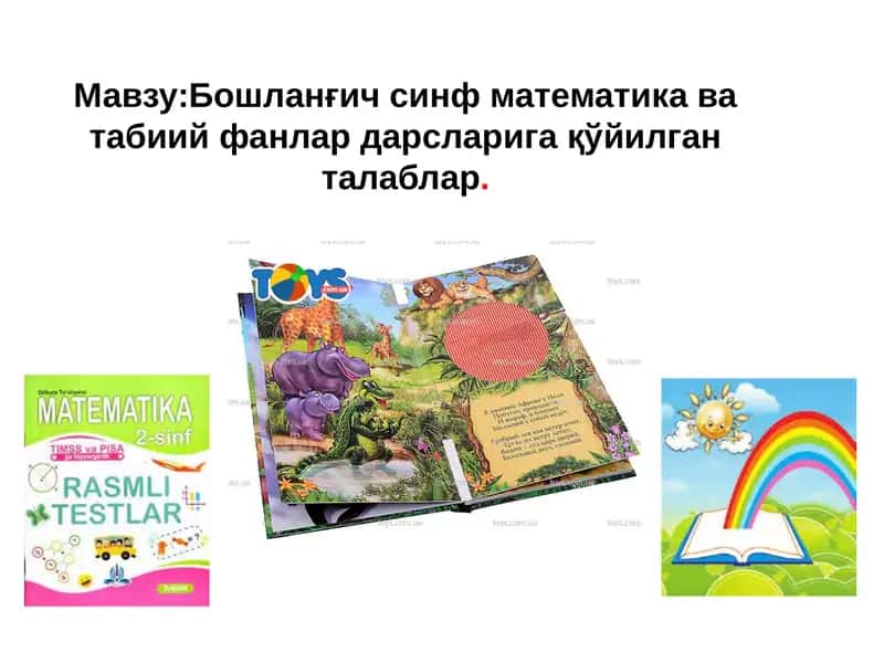 Бошланғич синф математика ва табиий фанлар дарсларига қўйилган талаблар