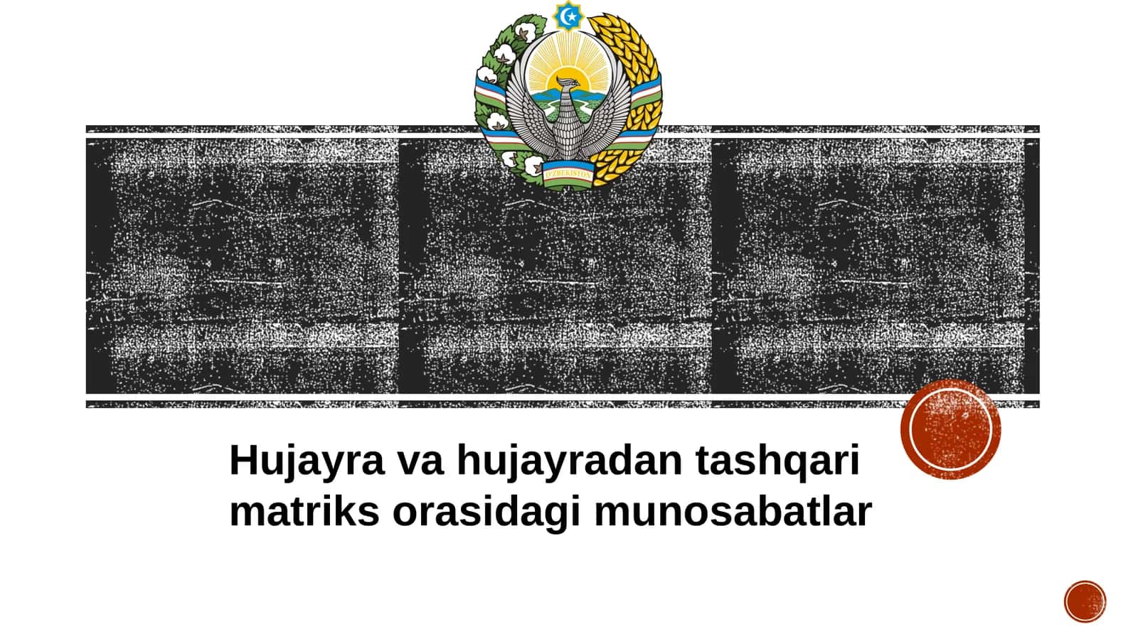 Hujayra va hujayradan tashqari matriks orasidagi munosabatlar
