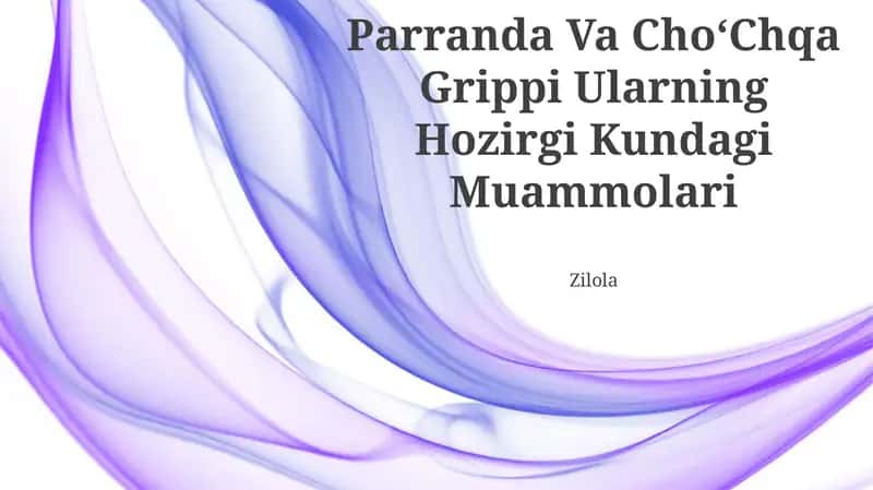 Parranda Va ChoʻChqa Grippi Ularning Hozirgi Kundagi Muammolari