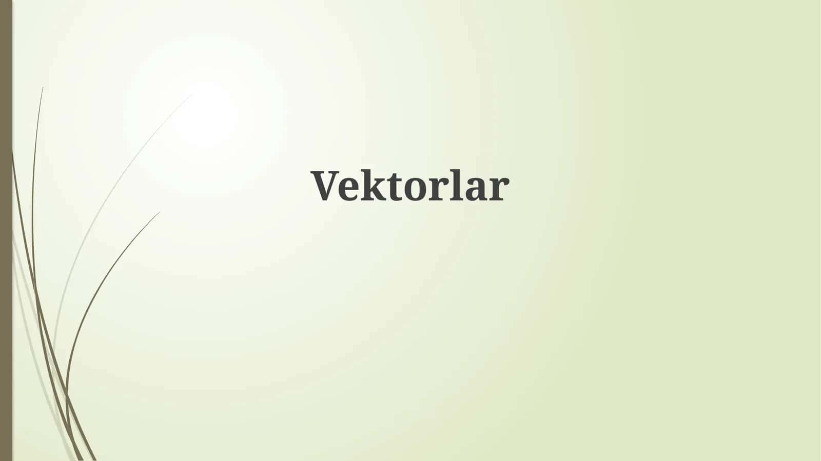Vektorlar