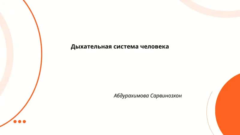 Дыхательная система человека