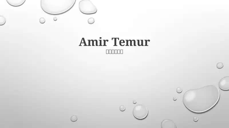 Amir Temur
