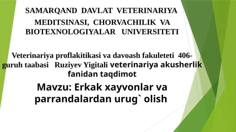 Erkak xayvonlar va parrandalardan urug` olish