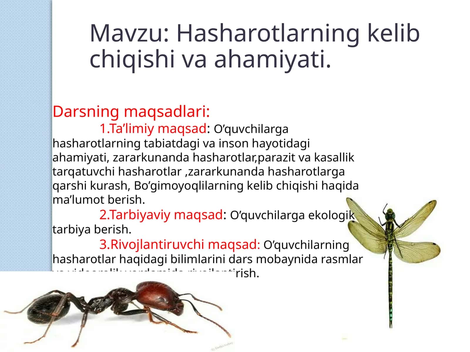 Hasharotlarning kelib chiqishi va ahamiyati