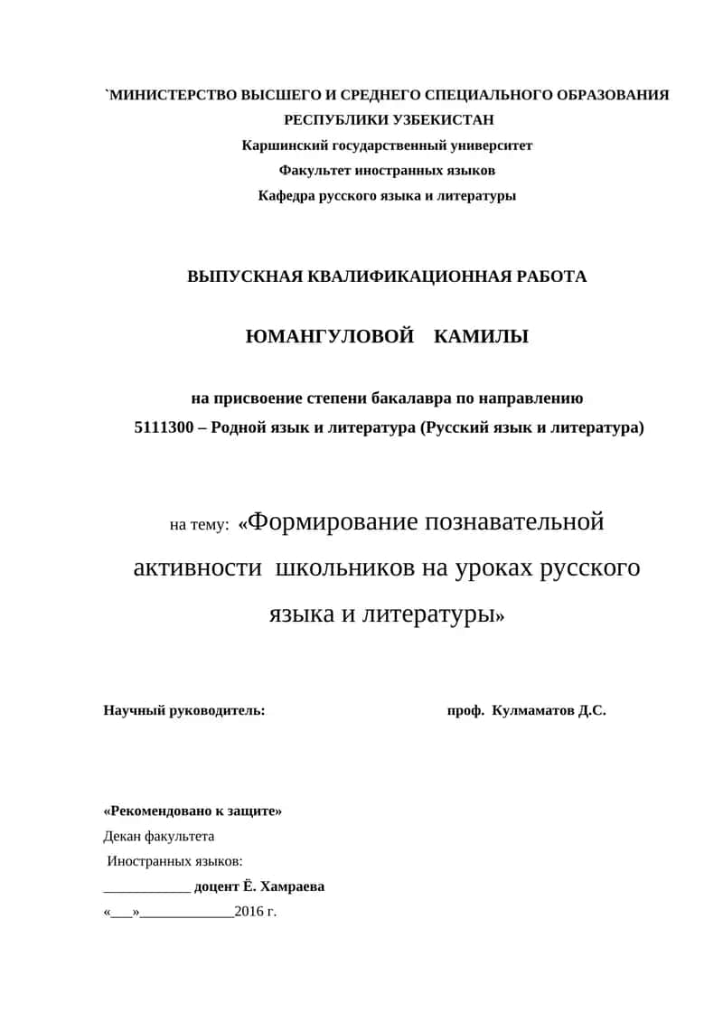 Выпускная квалификационная работа